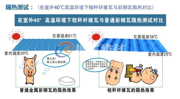 養殖場新型屋面瓦